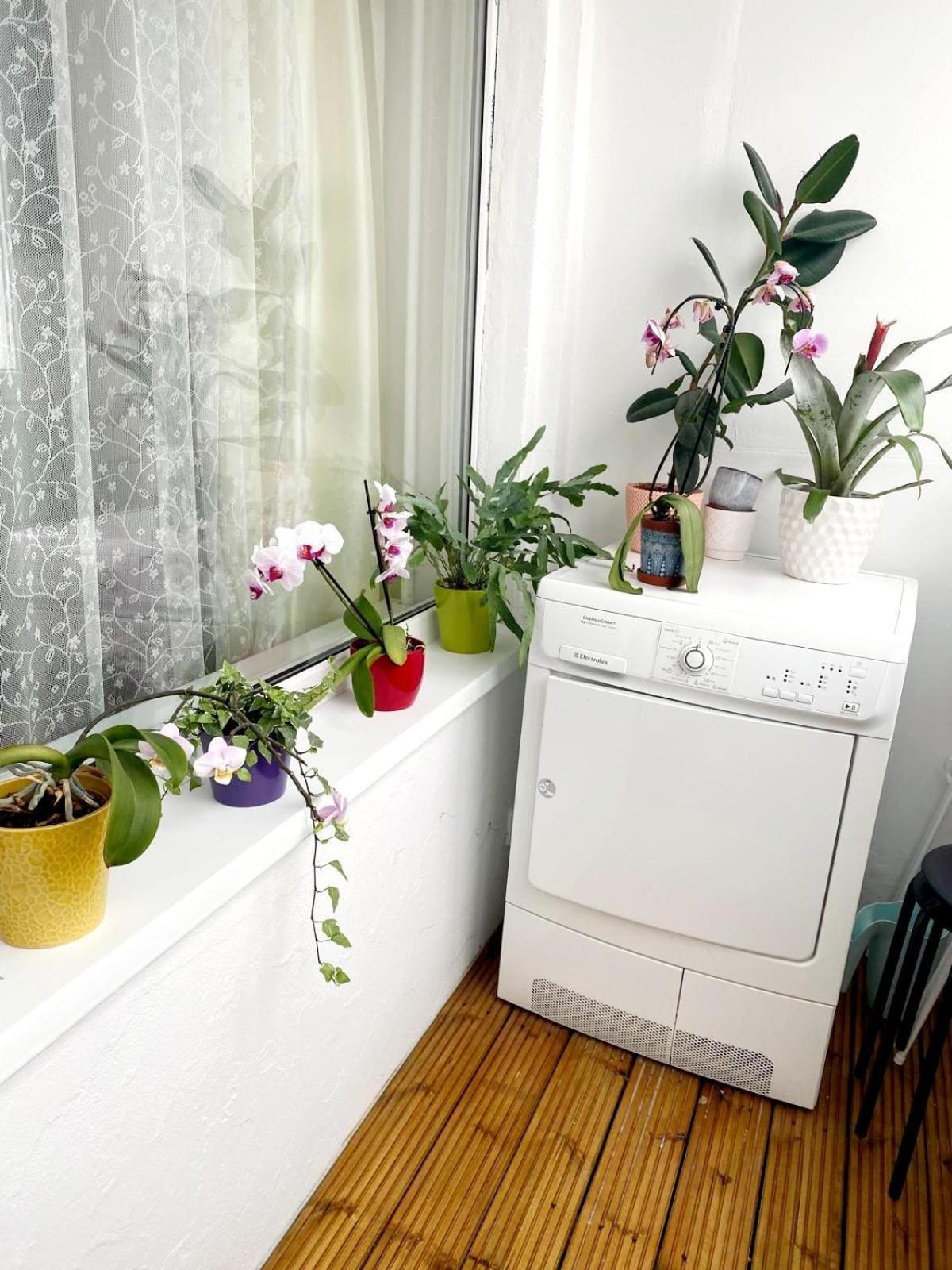 Seaview Flat Apartment Liepaja
